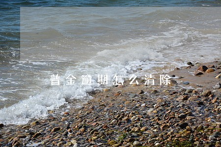 普金逾期怎么清除