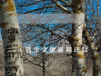普金金融逾期还款