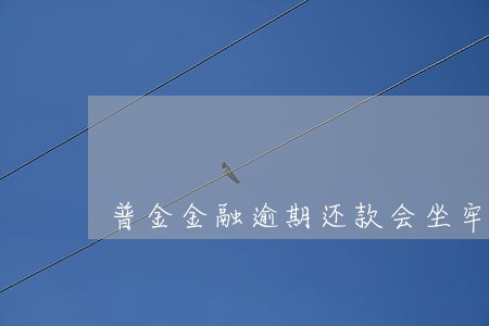 普金金融逾期还款会坐牢吗 普金金融逾期还款会坐牢吗