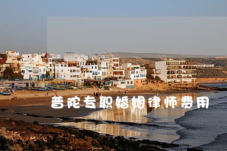 普陀专职婚姻律师费用 普陀专职婚姻律师费用