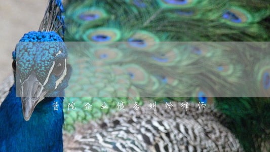 普陀企业债务纠纷律师 普陀企业债务纠纷律师