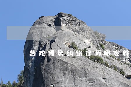 普陀债务纠纷律师哪家好 普陀债务纠纷律师哪家好