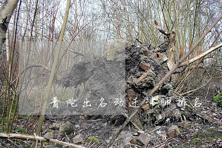 普陀出名动迁律师排名 普陀出名动迁律师排名