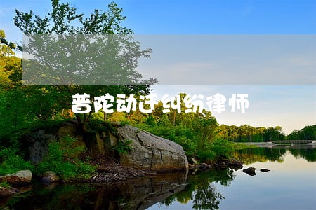 普陀动迁纠纷律师 普陀动迁纠纷律师