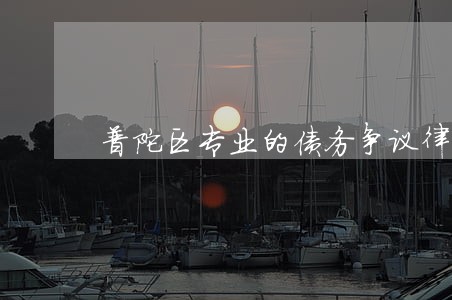 普陀区专业的债务争议律师