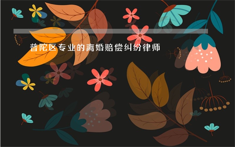 普陀区专业的离婚赔偿纠纷律师 普陀区专业的离婚赔偿纠纷律师