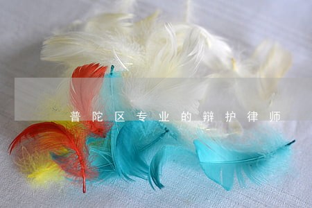 普陀区专业的辩护律师 普陀区专业的辩护律师