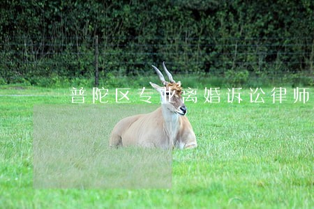 普陀区专业离婚诉讼律师 普陀区专业离婚诉讼律师