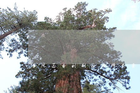 普陀区专利纠纷律师费要多少 普陀区专利纠纷律师费要多少
