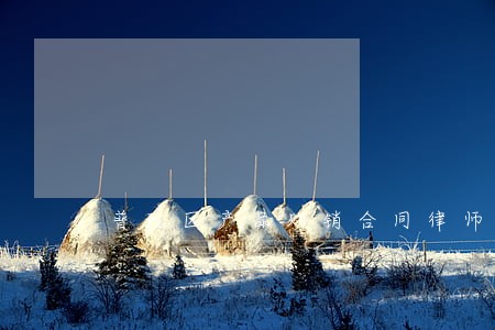 普陀区产品购销合同律师咨询 普陀区产品购销合同律师咨询