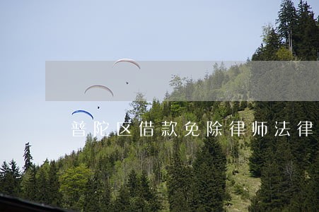 普陀区借款免除律师法律服务 普陀区借款免除律师法律服务