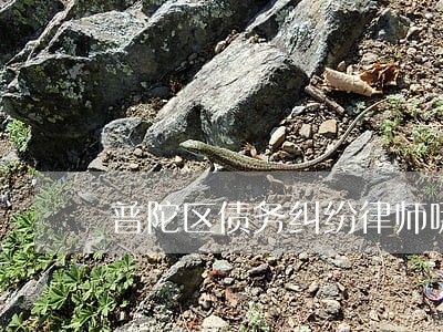 普陀区债务纠纷律师哪家好 普陀区债务纠纷律师哪家好