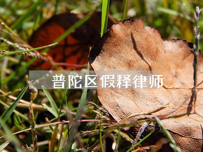普陀区假释律师 普陀区假释律师
