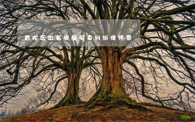 普陀区出名房屋买卖纠纷律师费 普陀区出名房屋买卖纠纷律师费
