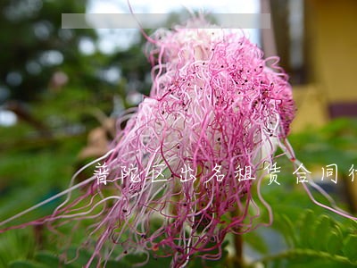 普陀区出名租赁合同律师怎么收费 普陀区出名租赁合同律师怎么收费
