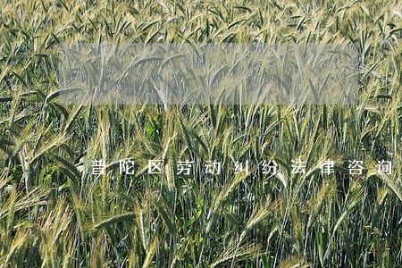 普陀区劳动纠纷法律咨询热线 普陀区劳动纠纷法律咨询热线