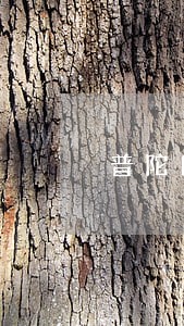 普陀区合伙纠纷法律咨询 普陀区合伙纠纷法律咨询