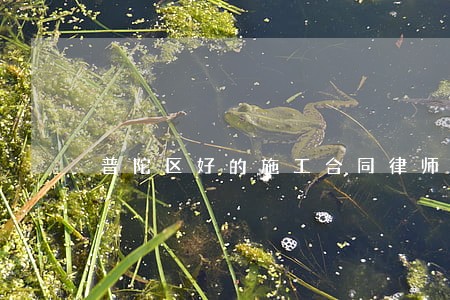普陀区好的施工合同律师 普陀区好的施工合同律师
