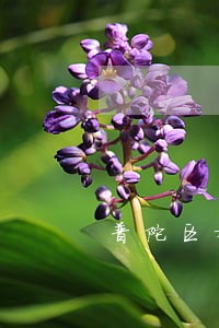 普陀区婚姻律师哪家强 普陀区婚姻律师哪家强