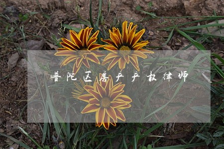 普陀区房产产权律师 普陀区房产产权律师