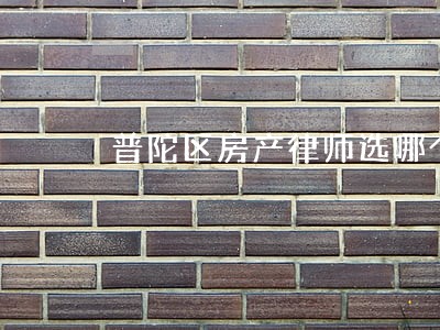 普陀区房产律师选哪个 普陀区房产律师选哪个