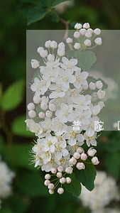 普陀区房地产动迁律师咨询热线 普陀区房地产动迁律师咨询热线