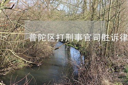 普陀区打刑事官司胜诉律师咨询 普陀区打刑事官司胜诉律师咨询