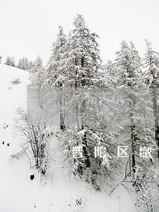 普陀区撤销案件律师事务所