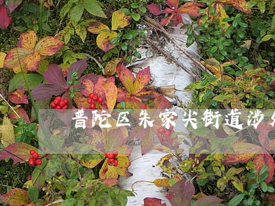 普陀区朱家尖街道涉外离婚律师 普陀区朱家尖街道涉外离婚律师
