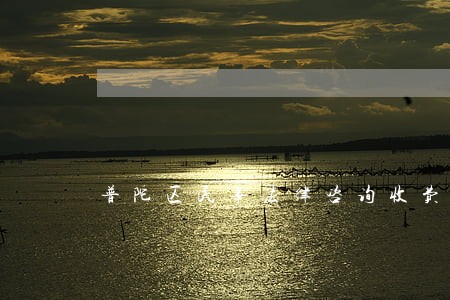 普陀区民事法律咨询收费 普陀区民事法律咨询收费