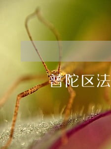 普陀区法律咨询选哪家 普陀区法律咨询选哪家