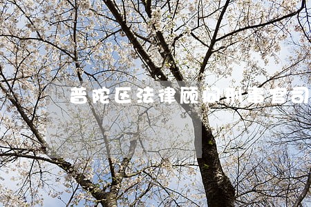 普陀区法律顾问刑事官司律师 普陀区法律顾问刑事官司律师