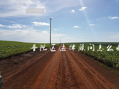 普陀区法律顾问怎么收费 普陀区法律顾问怎么收费