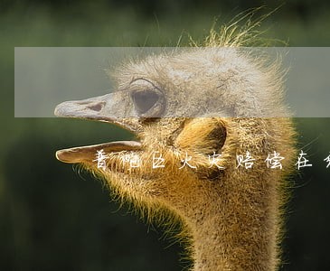 普陀区火灾赔偿在线律师 普陀区火灾赔偿在线律师
