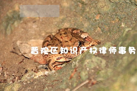 普陀区知识产权律师事务所