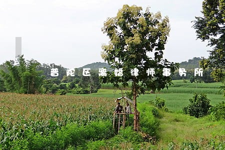 普陀区离婚律师事务所 普陀区离婚律师事务所