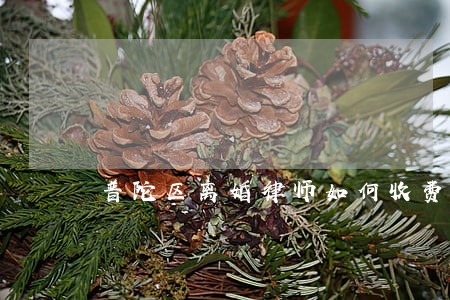 普陀区离婚律师如何收费 普陀区离婚律师如何收费