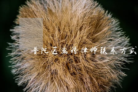 普陀区离婚律师联系方式 普陀区离婚律师联系方式