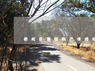 普陀区离婚财产律师收费标准 普陀区离婚财产律师收费标准