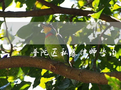 普陀区私募律师咨询 普陀区私募律师咨询