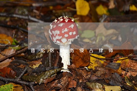 普陀区职务侵占律师 普陀区职务侵占律师