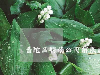 普陀区聘请公司解散赔偿律师 普陀区聘请公司解散赔偿律师