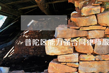 普陀区能力强合同律师服务 普陀区能力强合同律师服务