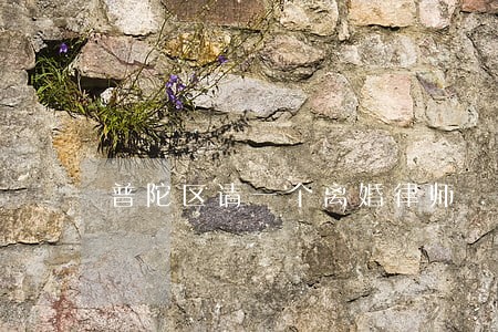 普陀区请一个离婚律师 普陀区请一个离婚律师