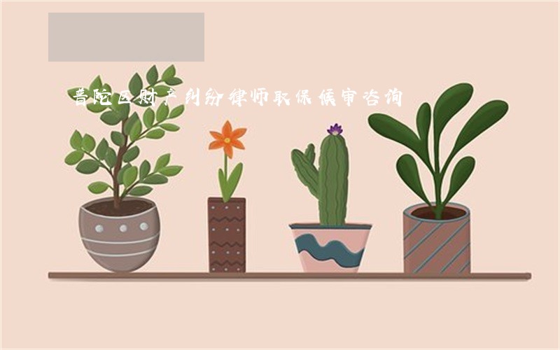 普陀区财产纠纷律师取保候审咨询 普陀区财产纠纷律师取保候审咨询