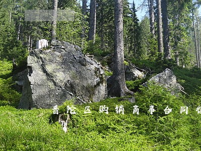 普陀区购销商事合同律师在线 普陀区购销商事合同律师在线