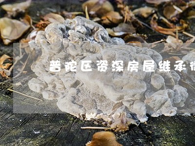 普陀区资深房屋继承律师 普陀区资深房屋继承律师