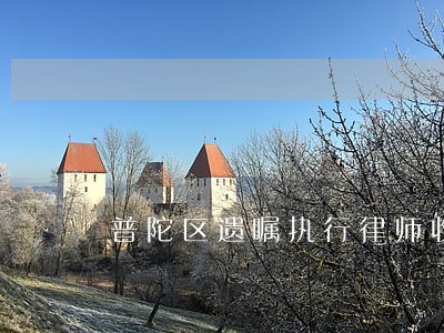 普陀区遗嘱执行律师收费 普陀区遗嘱执行律师收费