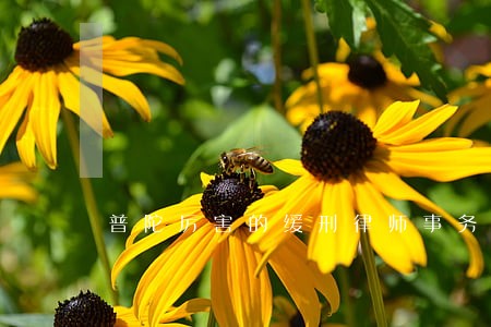 普陀厉害的缓刑律师事务所排名 普陀厉害的缓刑律师事务所排名
