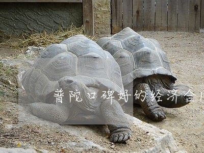 普陀口碑好的经济合同律师规定